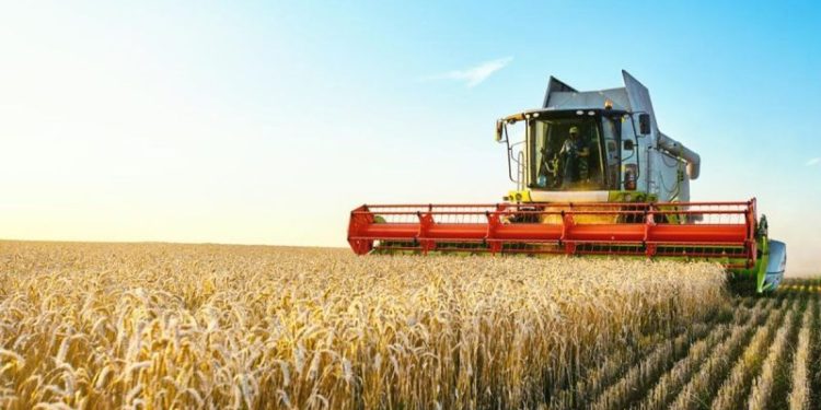 Top 10 Phosphate Countries by Production