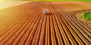 Agriculture Market Update: Q2 2025 in Review