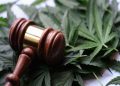 Cannabis Crossroads: Record US Demand Meets Federal Gridlock